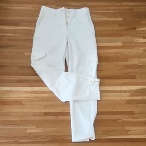 Aritzia Wilfred Free Modern Cargo Pant Size 4